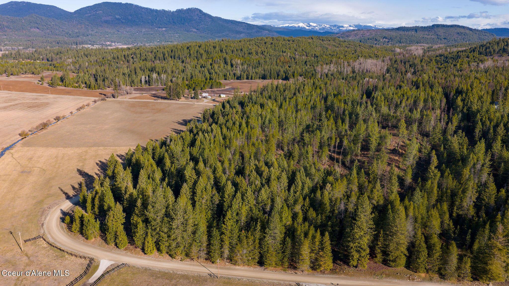 Image 1: DJI_20260309093659_0008_D