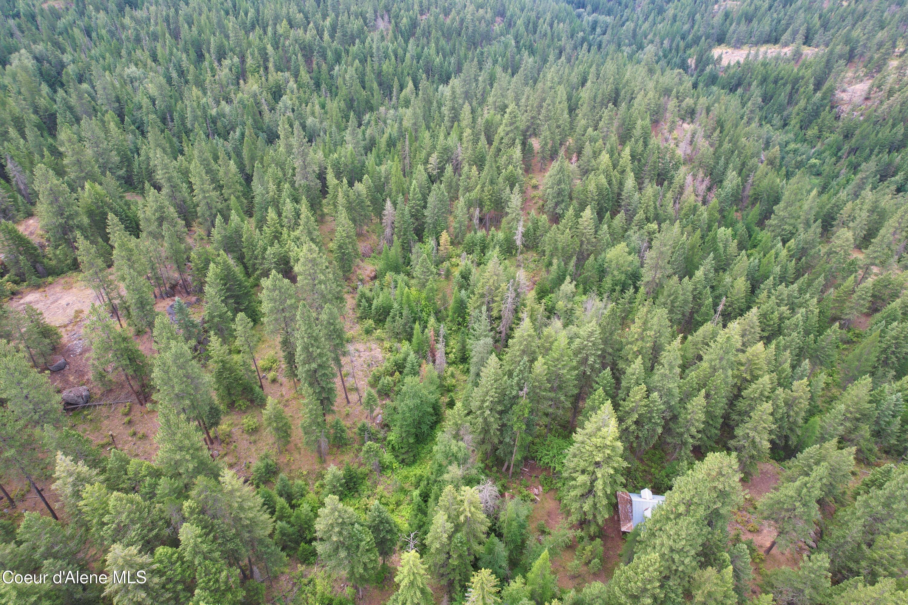 Image 4: DJI_0180