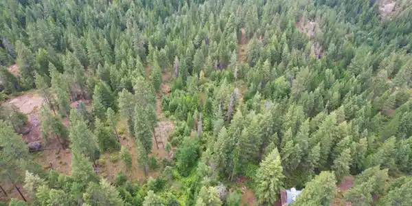 Image 4: DJI_0180