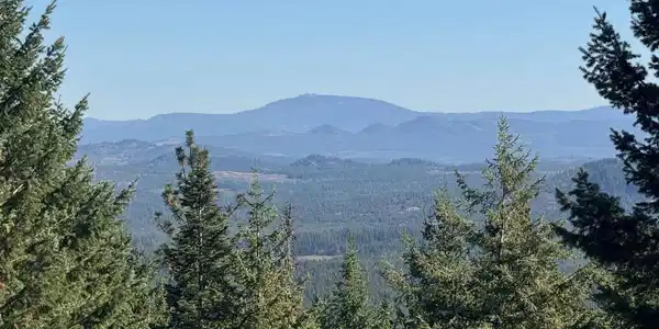 NNA Rustic Way 40 Acres