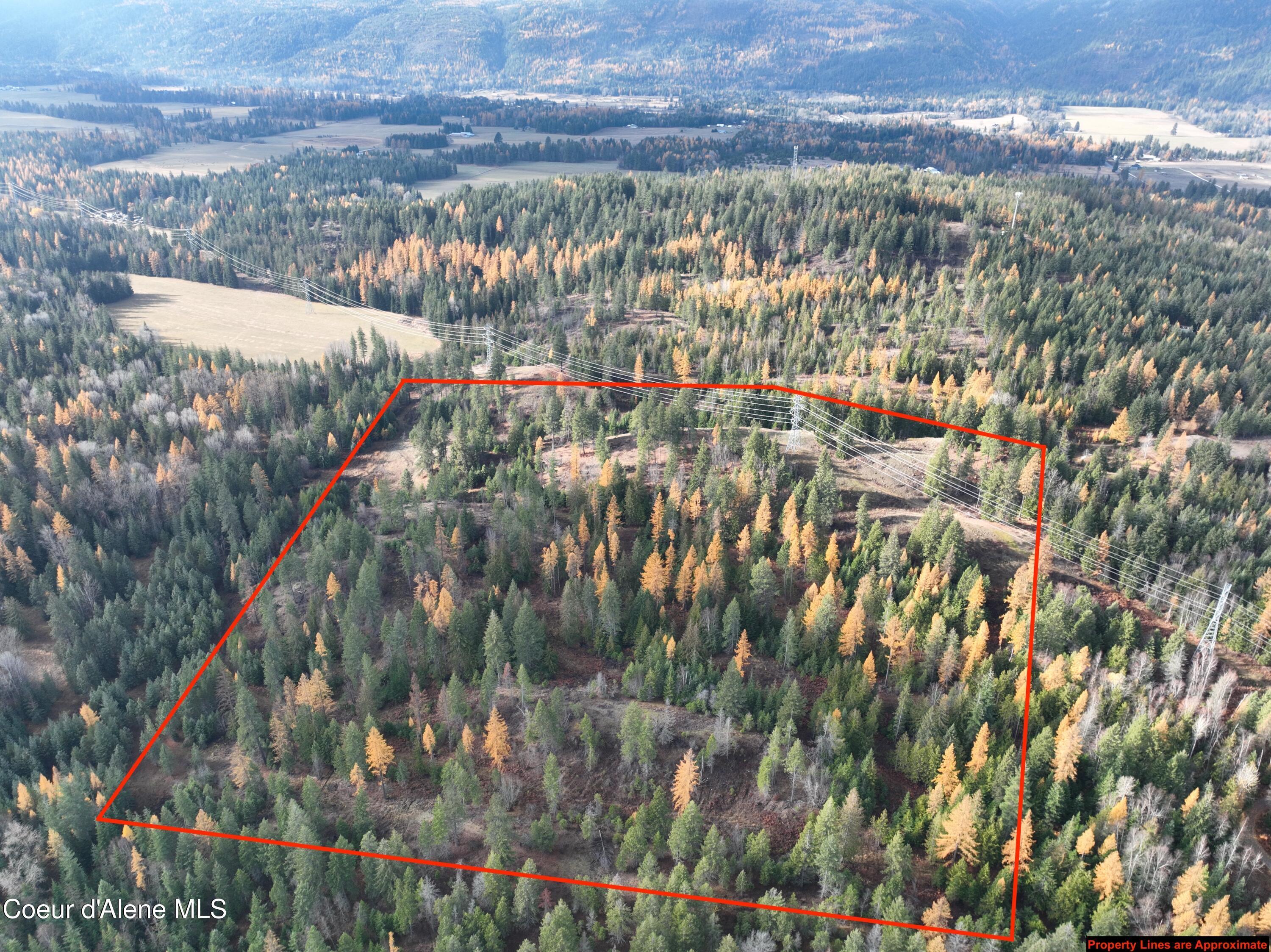 Image 1: DJI_0868 copy