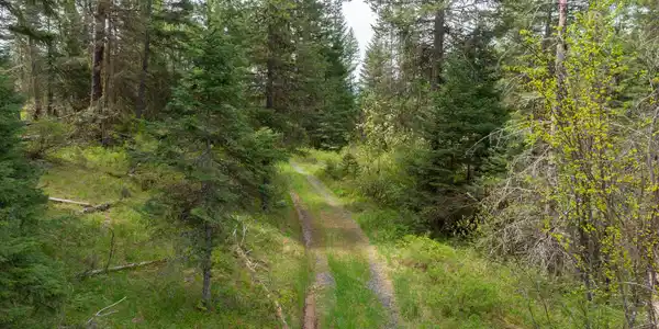 NNA Davis Creek