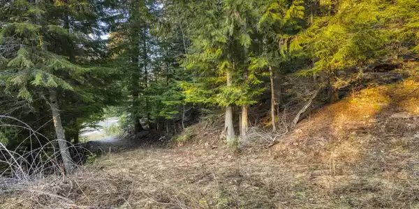 Image 2: Driveway Approach