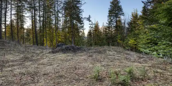 Image 3: Cleared Lot