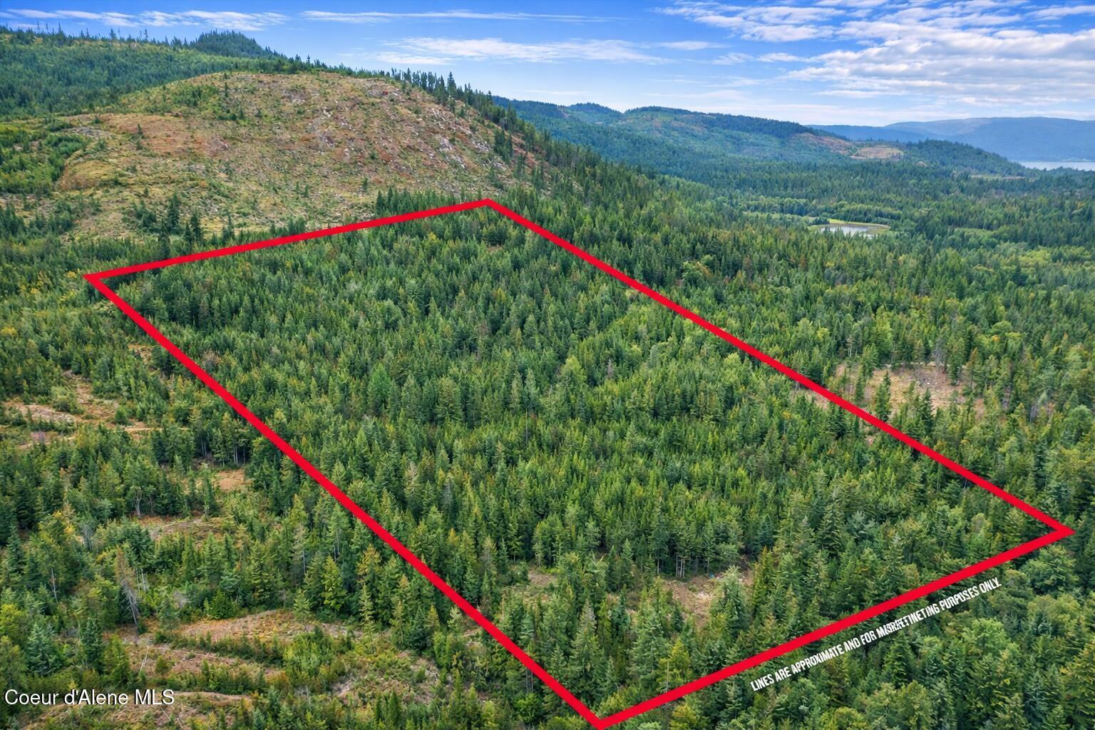 Image 3: Aerial Locator 3 Enhanced