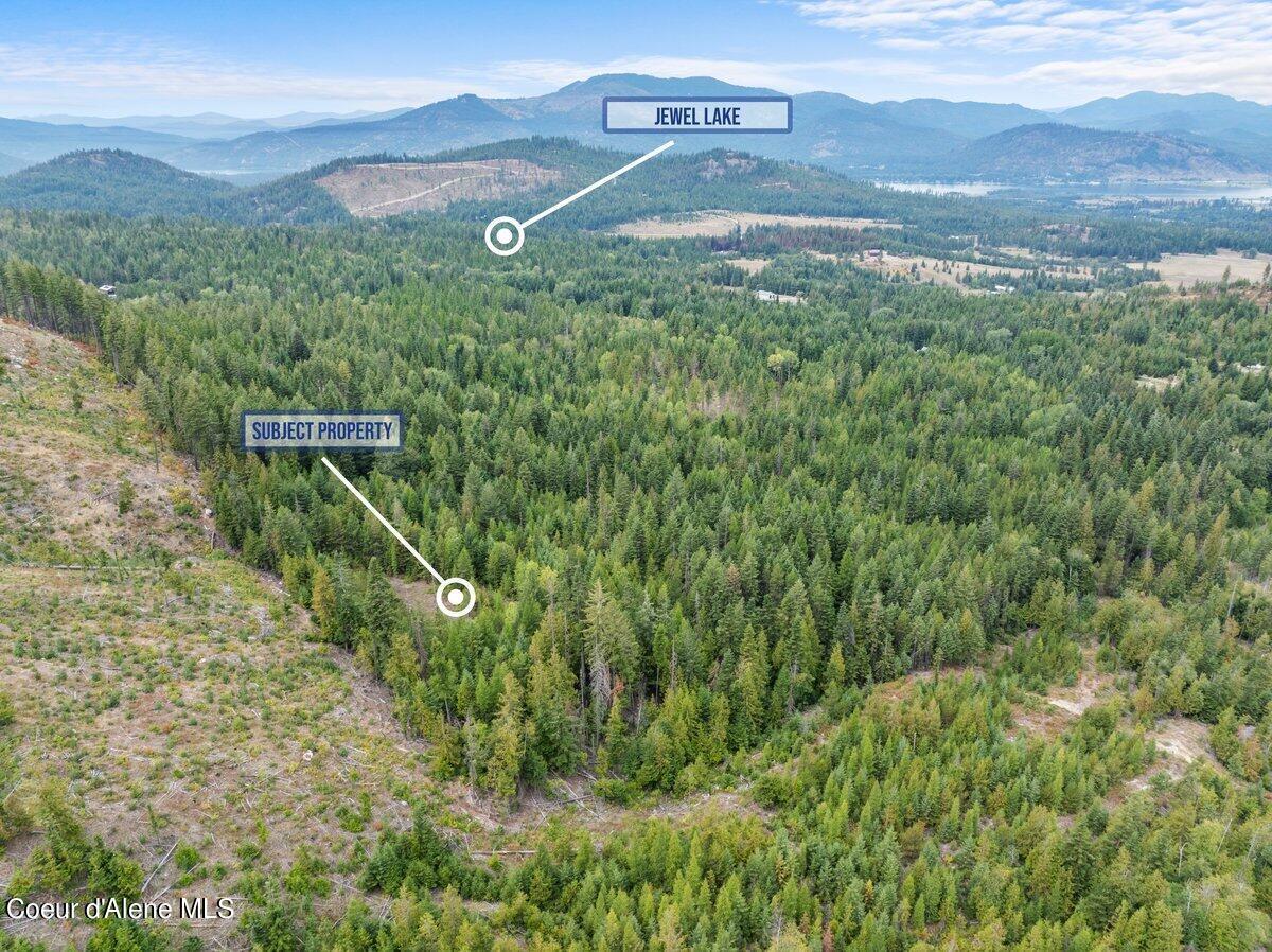 Image 4: Aerial property-with text