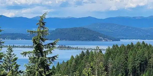 Image 2: 2