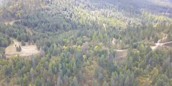 Image 3: 3