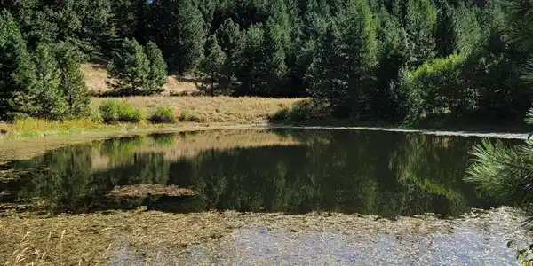 Image 4: 4