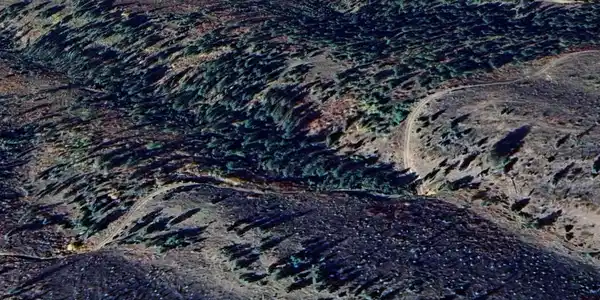 Image 4: 3