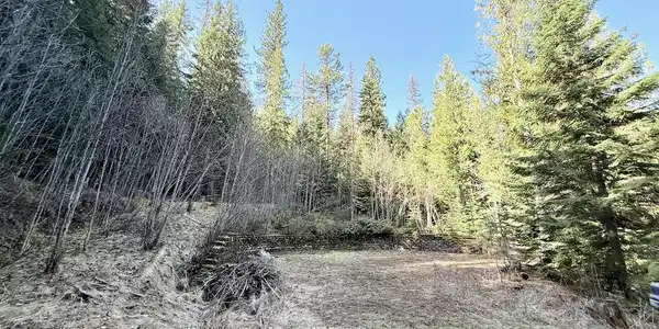 498 Revenue Gulch Rd