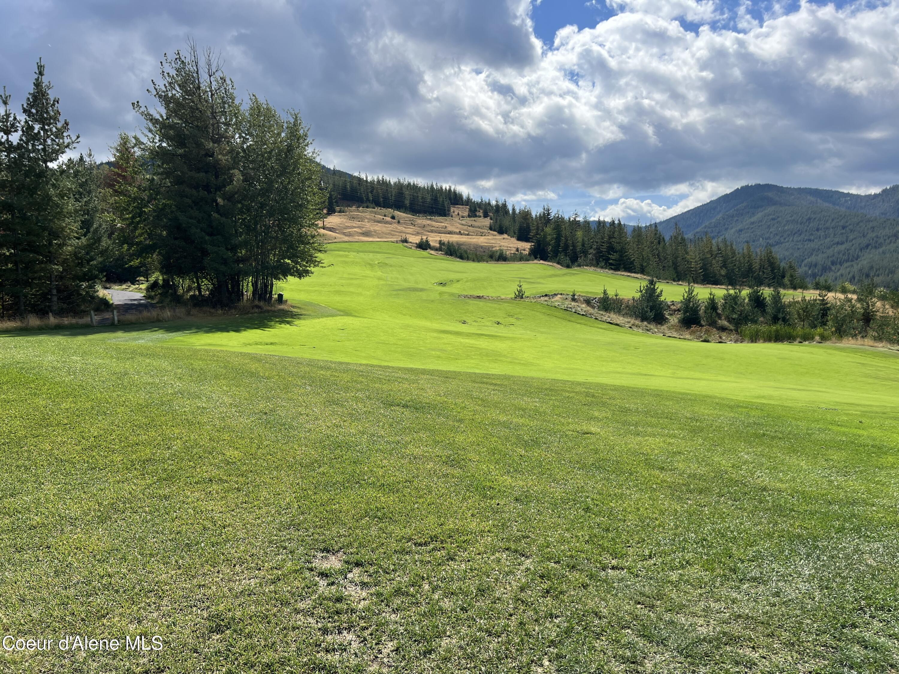 Image 2: IMG_4595