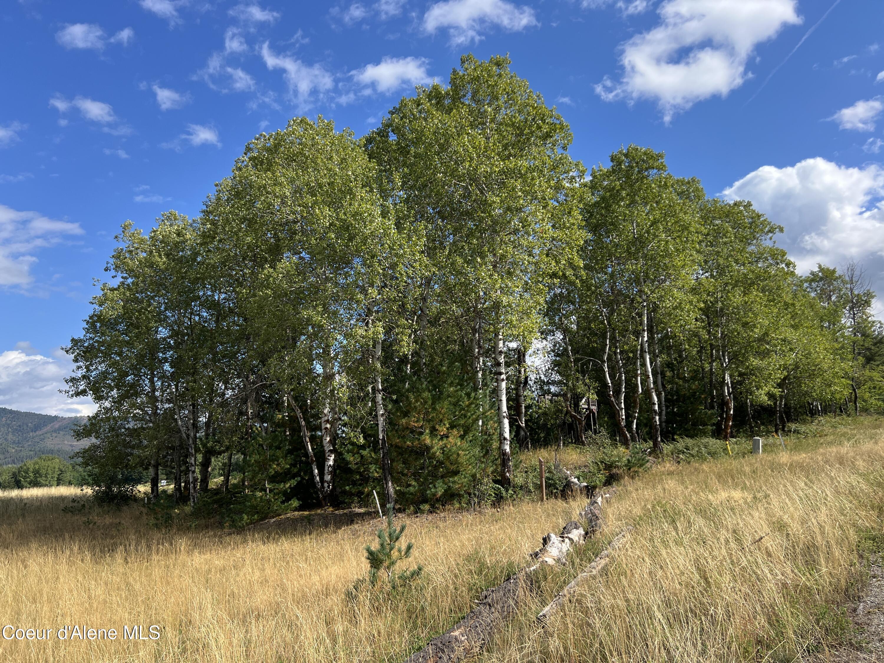 Image 3: IMG_4598