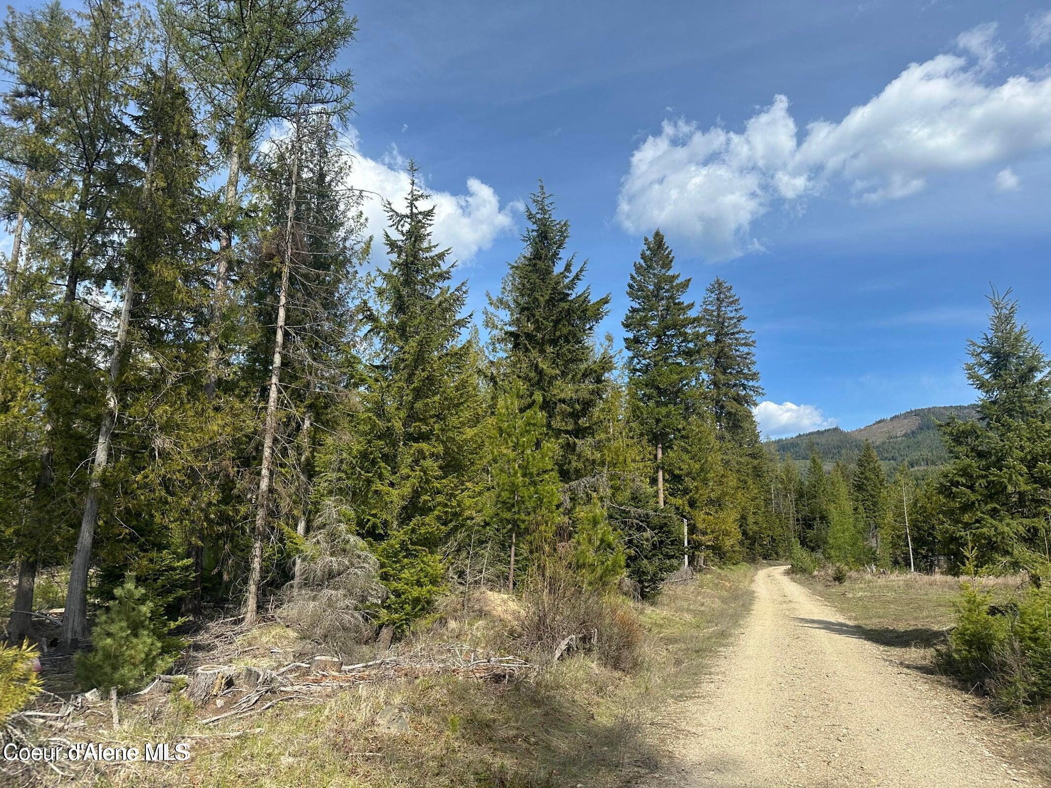 Image 1: eastside rd 2