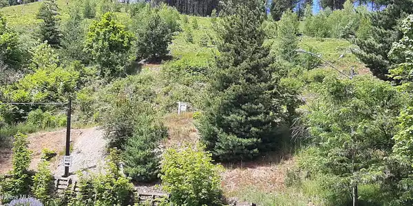 Image 3: 20240629_115647