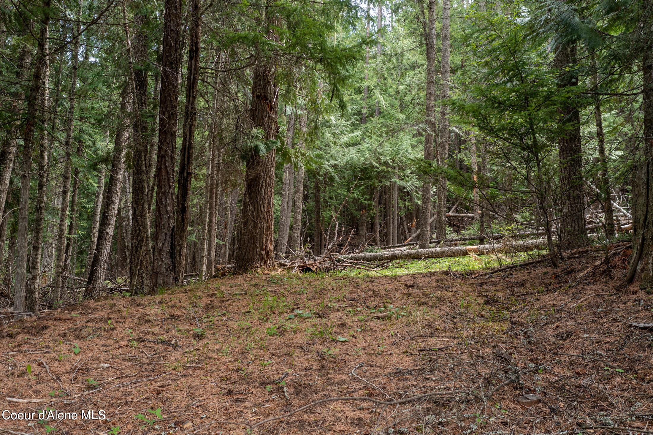 Image 4: DJI_0917-HDR-17