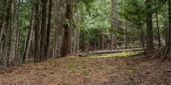 Image 4: DJI_0917-HDR-17