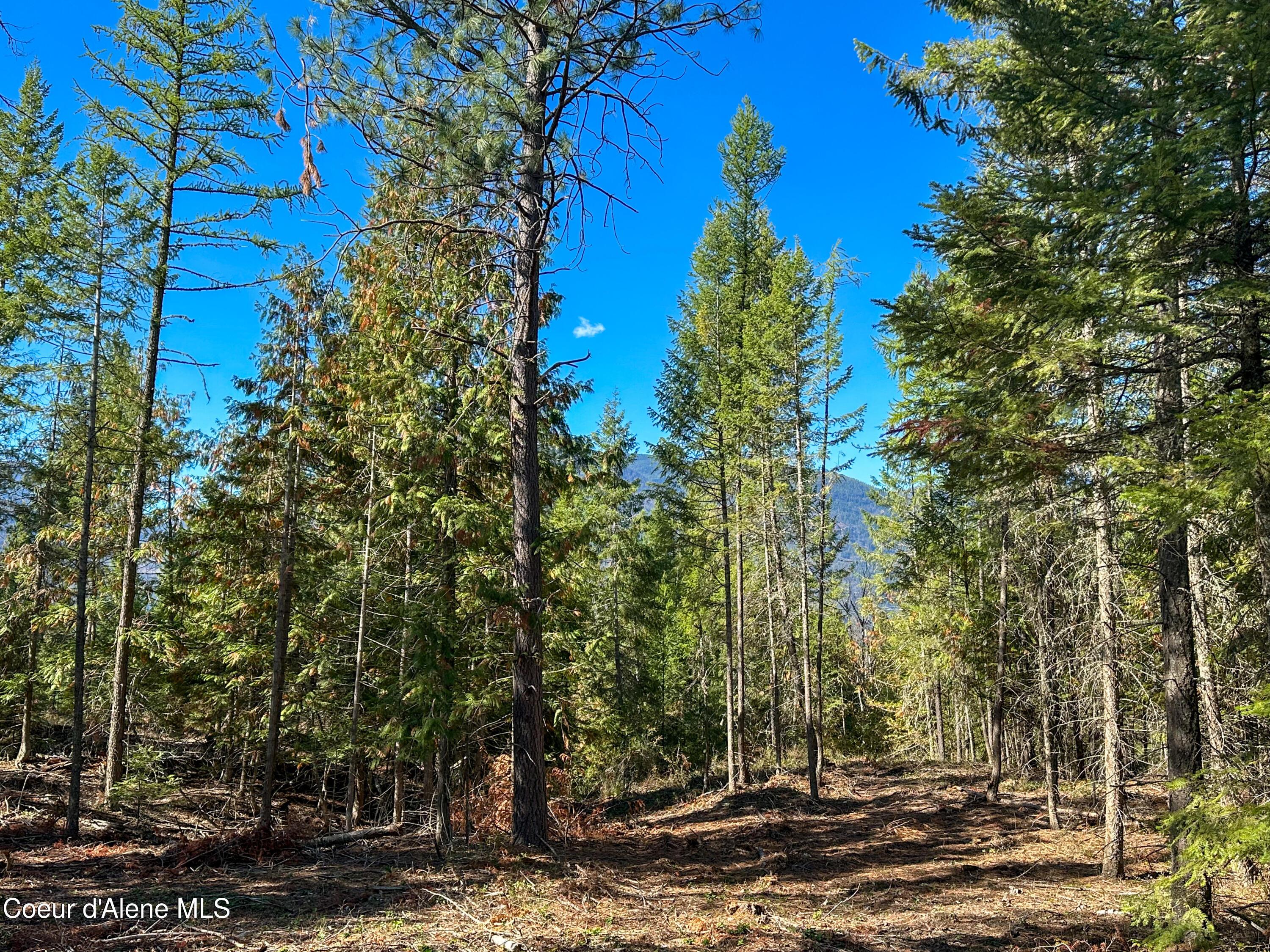 Image 1: Mountain Views from Potential Build Site