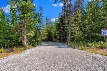 L13B1 Leonard Loop