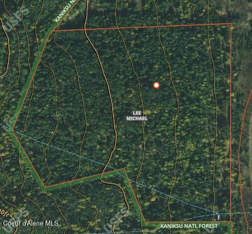 Image 2: Close up aerial