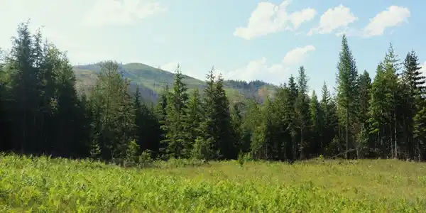 NKA Slippery Slope Trail