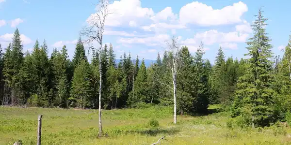 Image 2: BuildingPasture Area