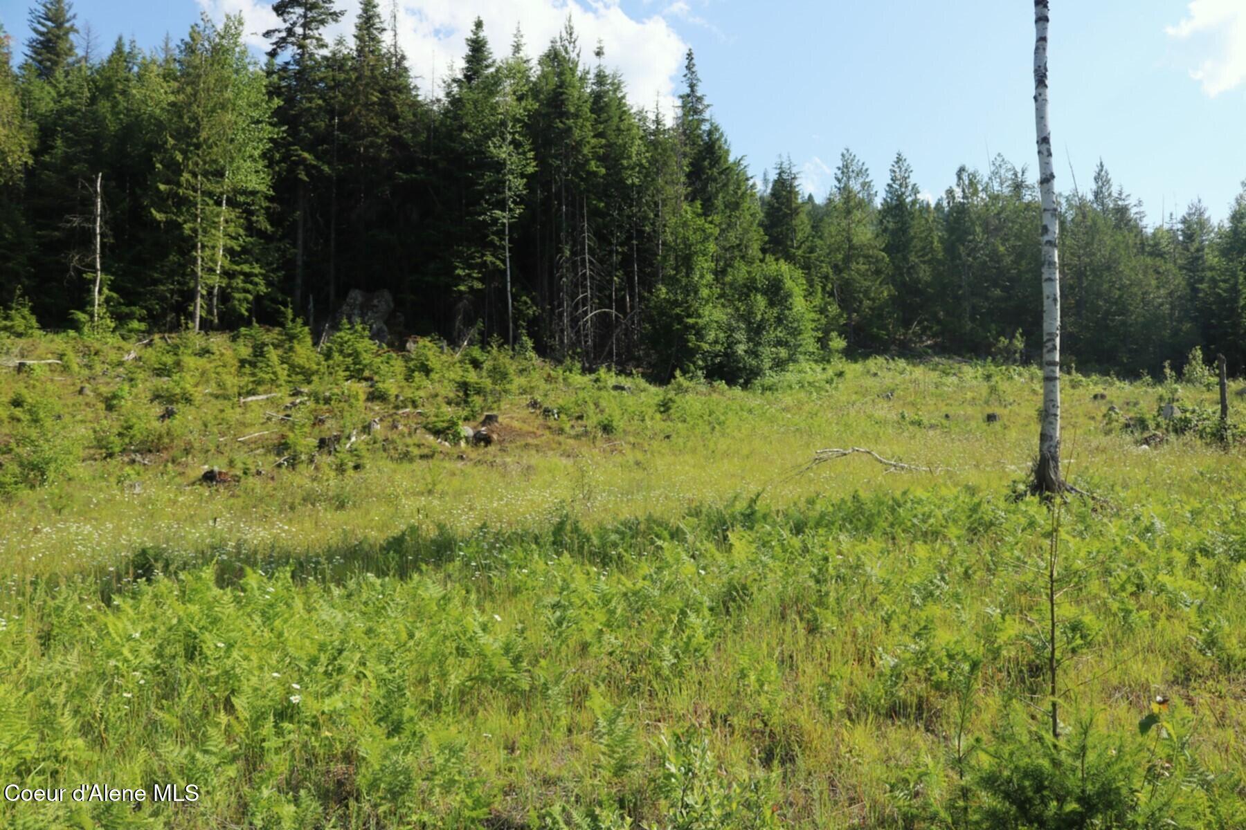 Image 3: Private Field