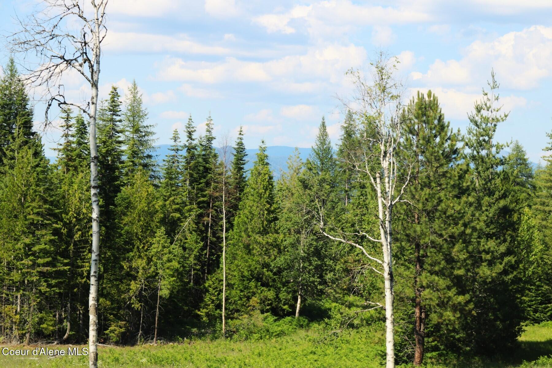 Image 4: Views of the Selkirks