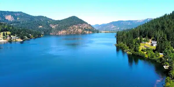Image 2: 1