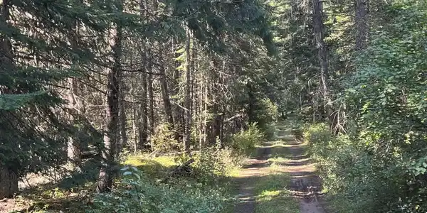 Image 3: 3