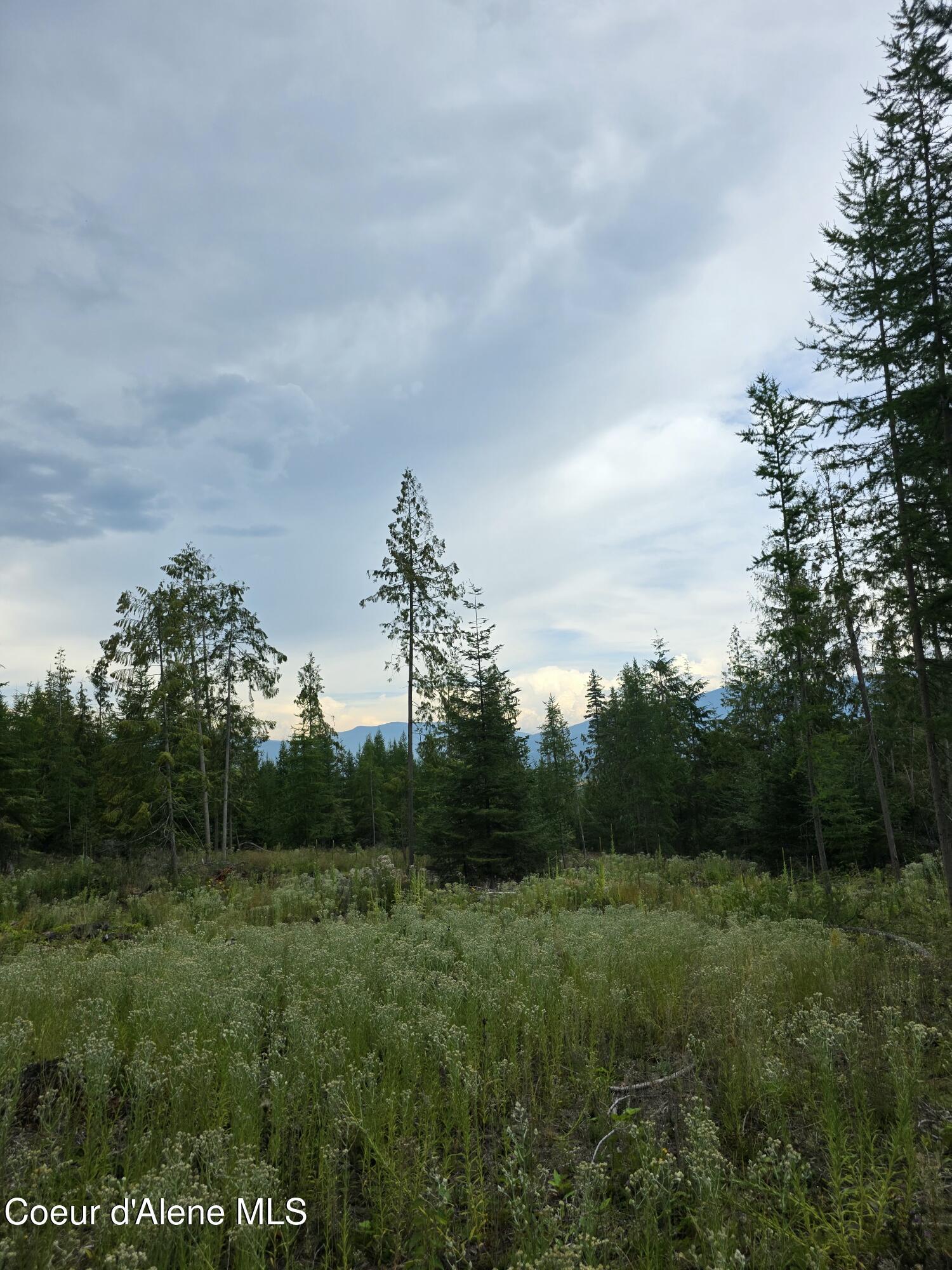 Image 2: 20250804_143649