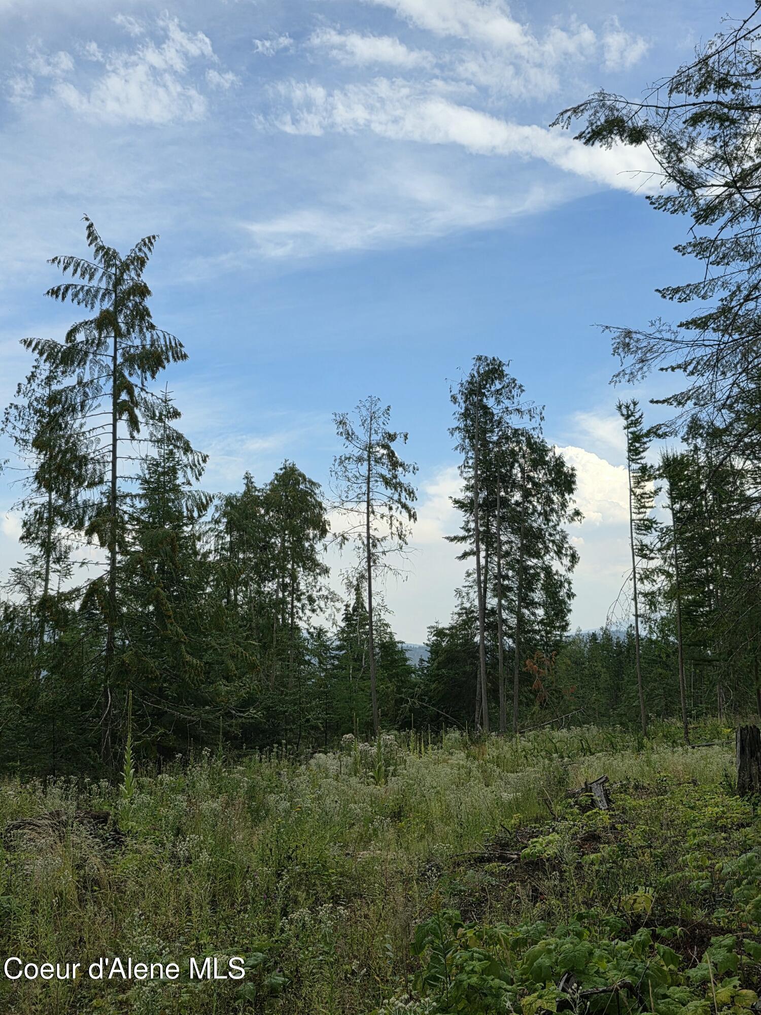 Image 3: 20250804_143530