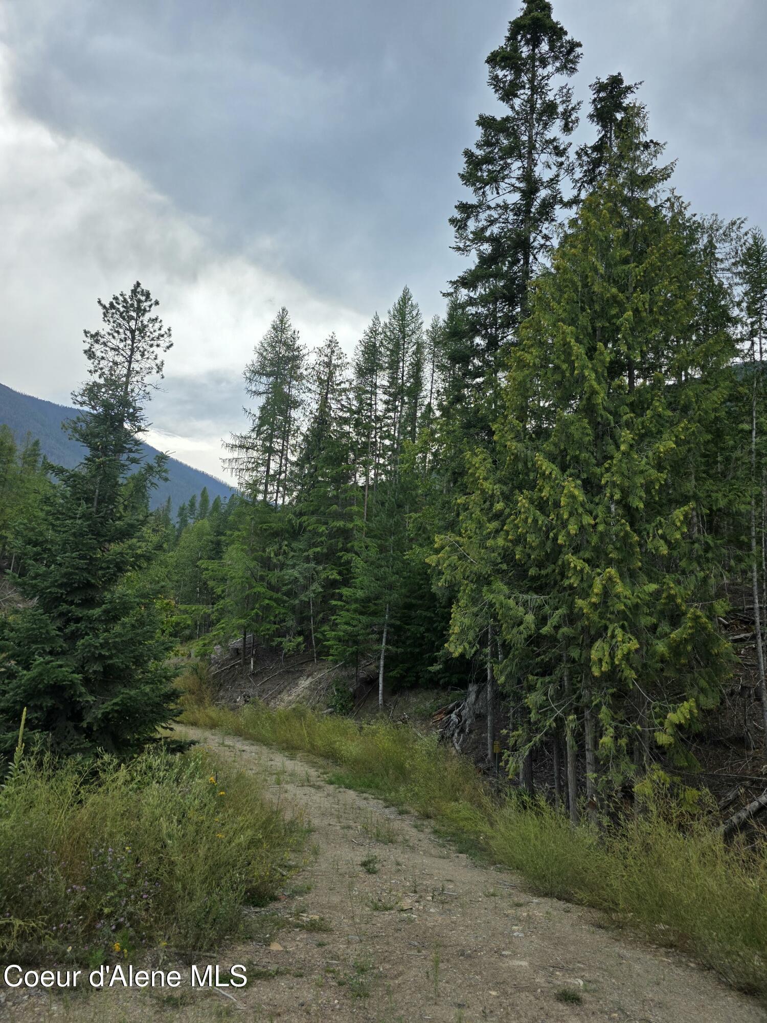 Image 4: 20250804_144525