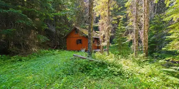Image 3: 15-USFS Rd 610 40 AC_RedHogMedia