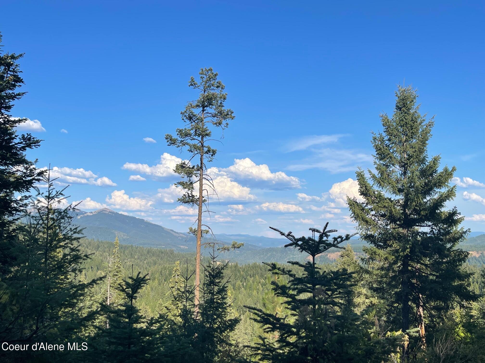 Image 4: Mountain views-40 acres
