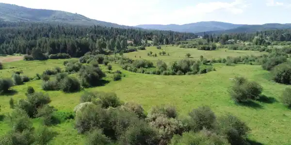 29251 Highway 6