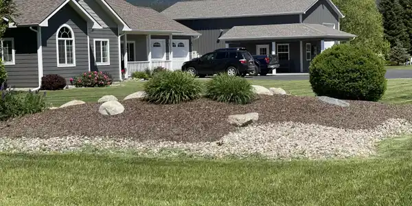 65 Echo DR