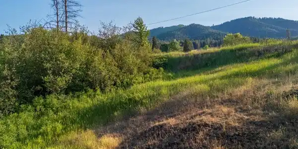Image 2: Fernwood Lot_1 (Compressed)
