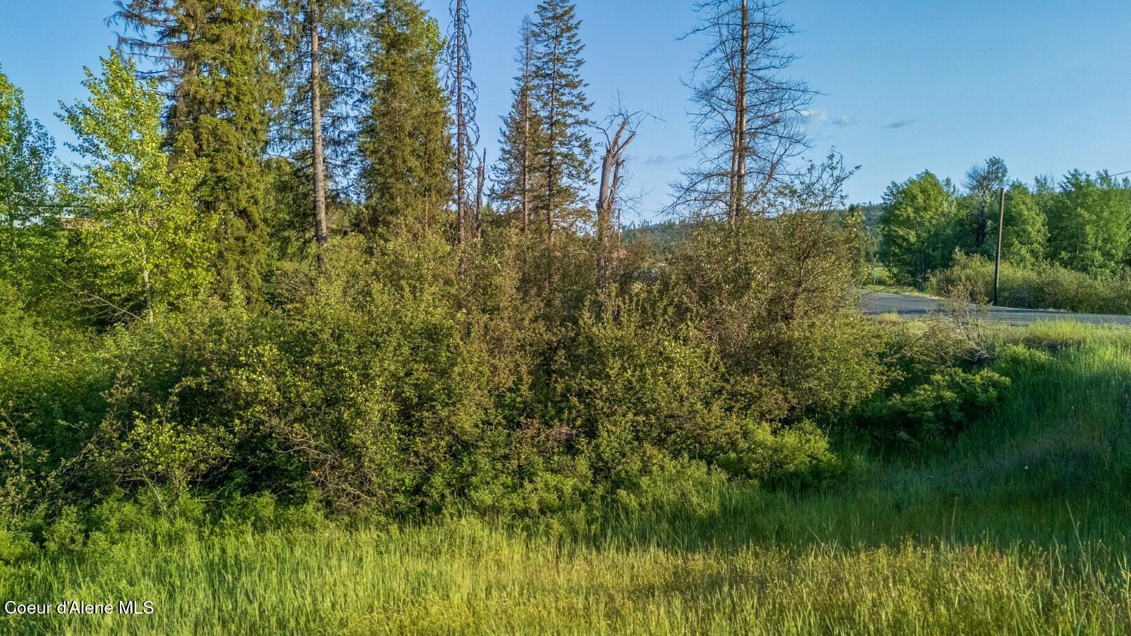 Image 3: Fernwood Lot (Compressed)