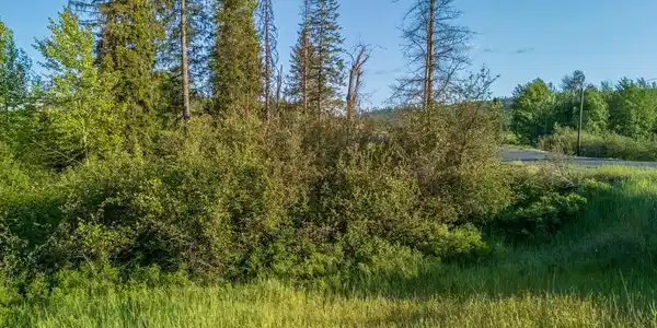 Image 3: Fernwood Lot (Compressed)