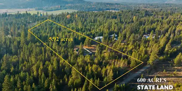 276 Old Forest Rd