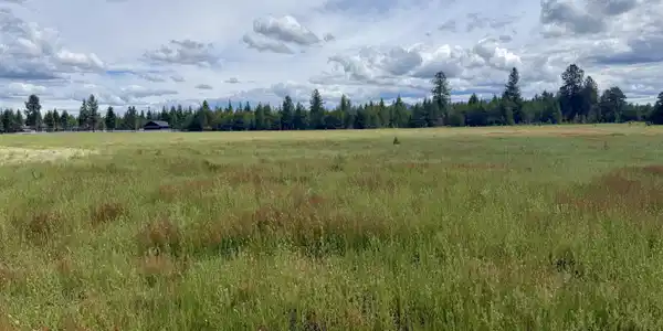 Image 2: Usable acreage