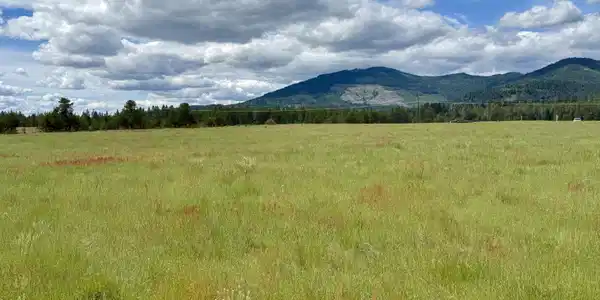 Image 4: Mountain views