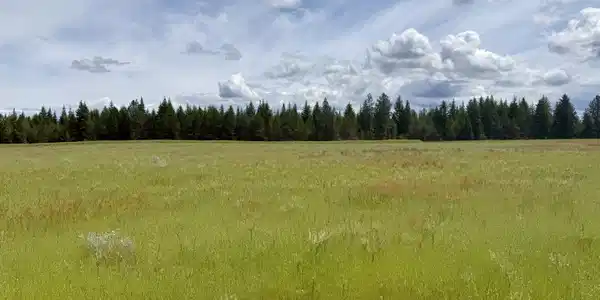 Image 2: Big sky views