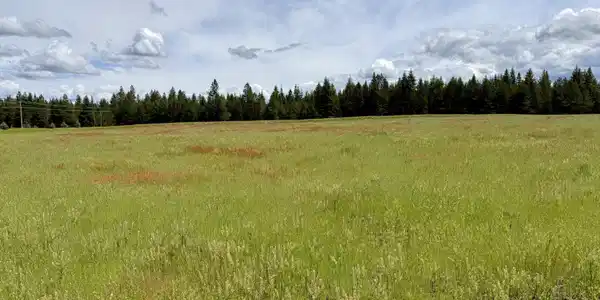 Image 2: Flat usable acres and big open sky