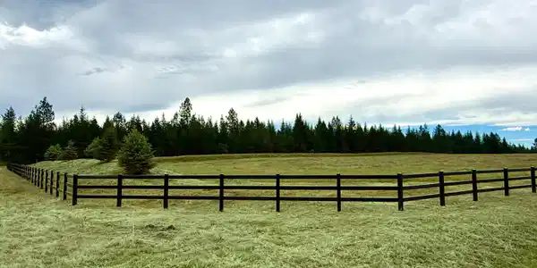 Image 4: Black vinyl fencing