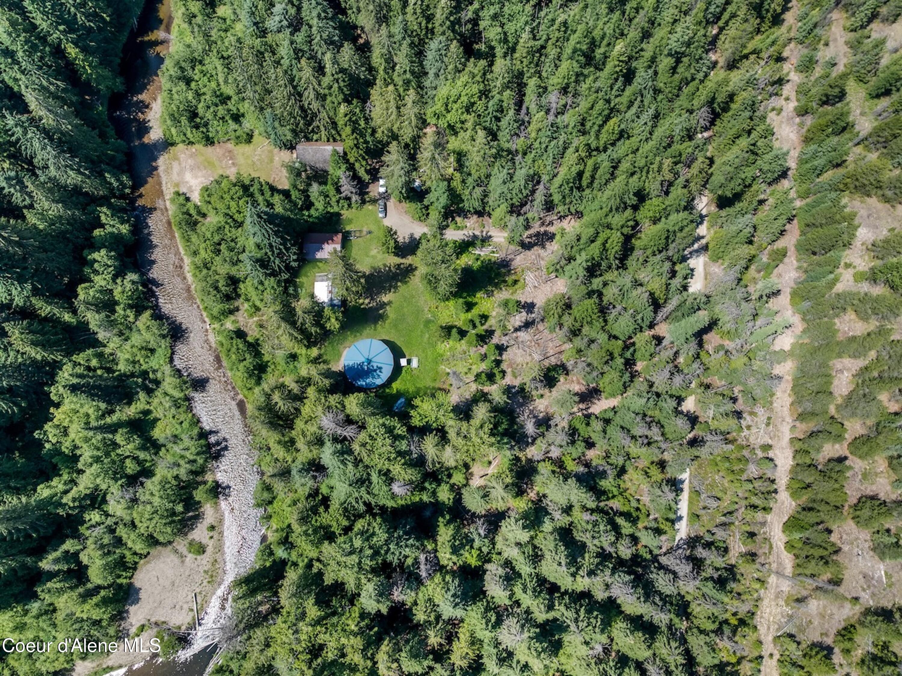 Image 2: Nicely Treed