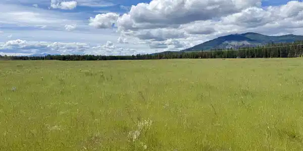Image 3: Flat, usable acreage