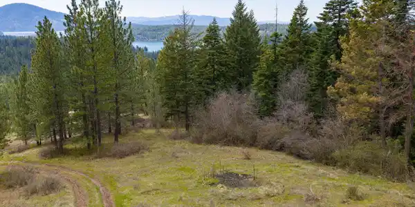 Image 4: Property View