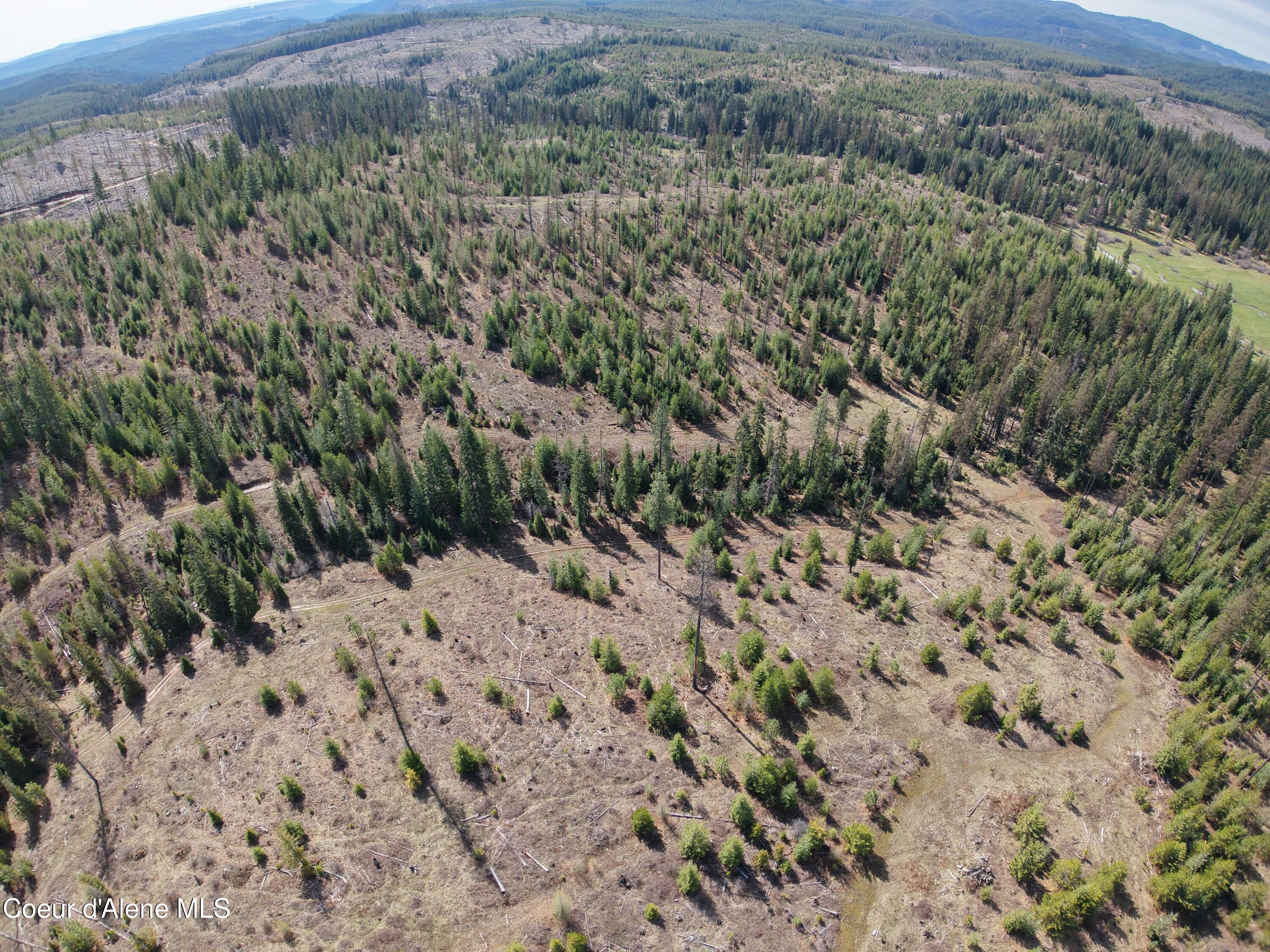 Image 3: Aerial 3